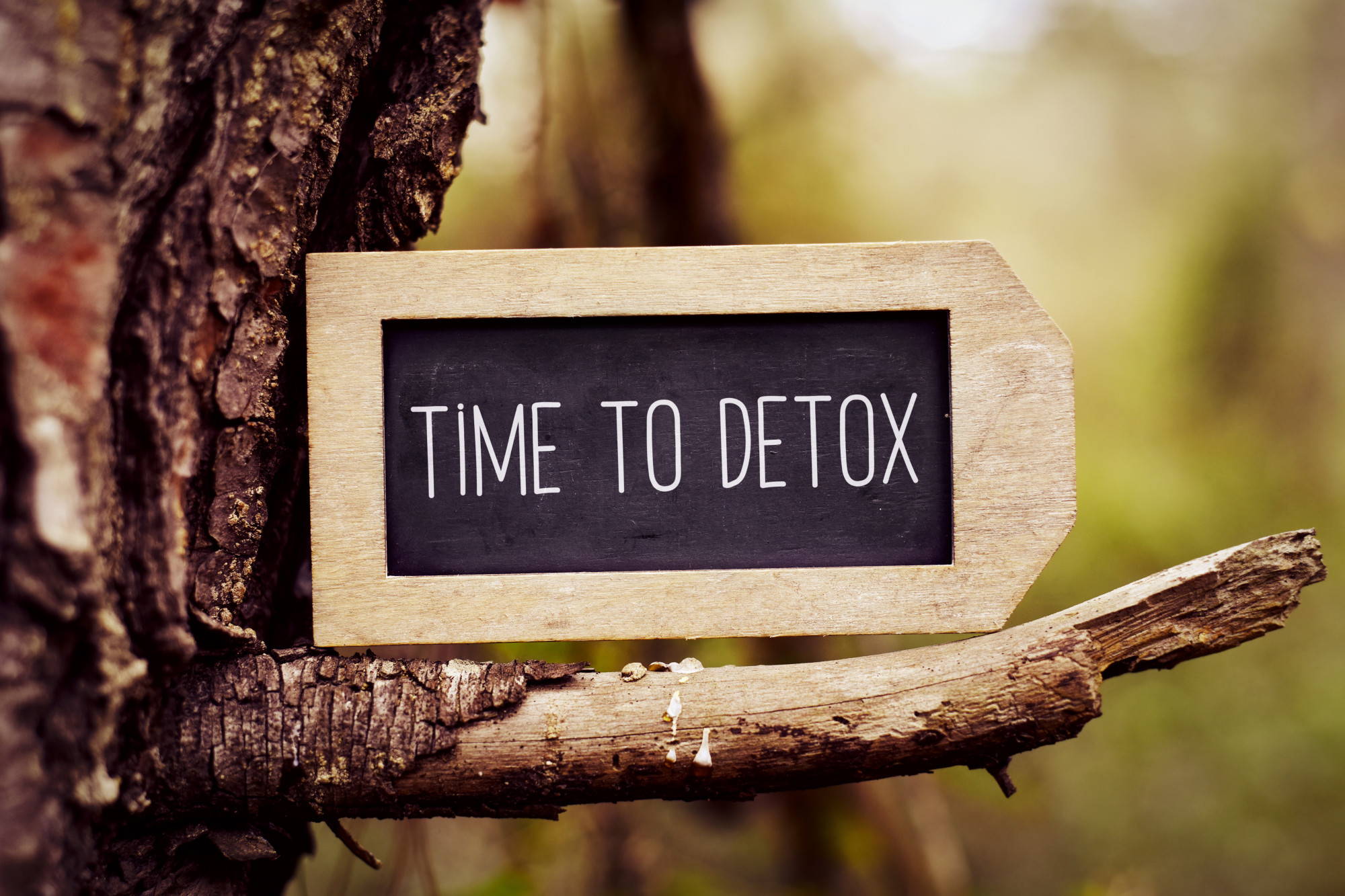 full body detox